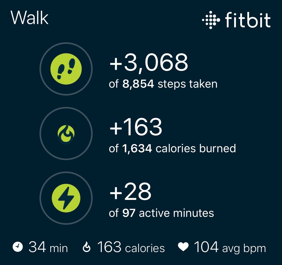 En workout i Fitbit-appen som listar all statistik för en promenad